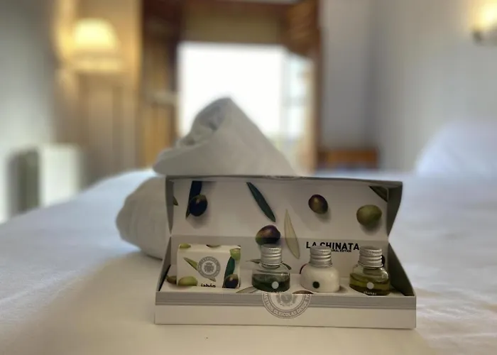 厄尔梅森德斯皮纳酒店 酒店 圣埃伦娜